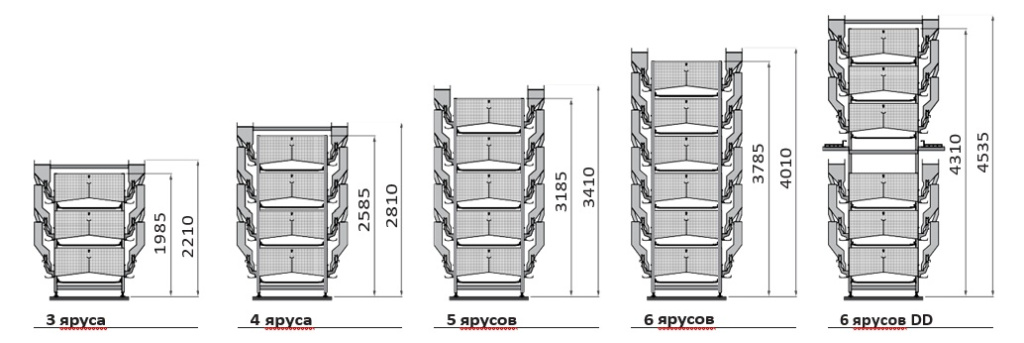 клетки.jpg клетки.jpg